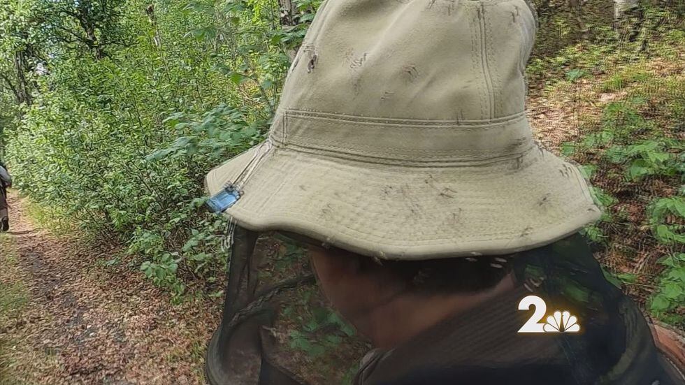 There was no way to keep the bugs off you. Nets helped but not enough.