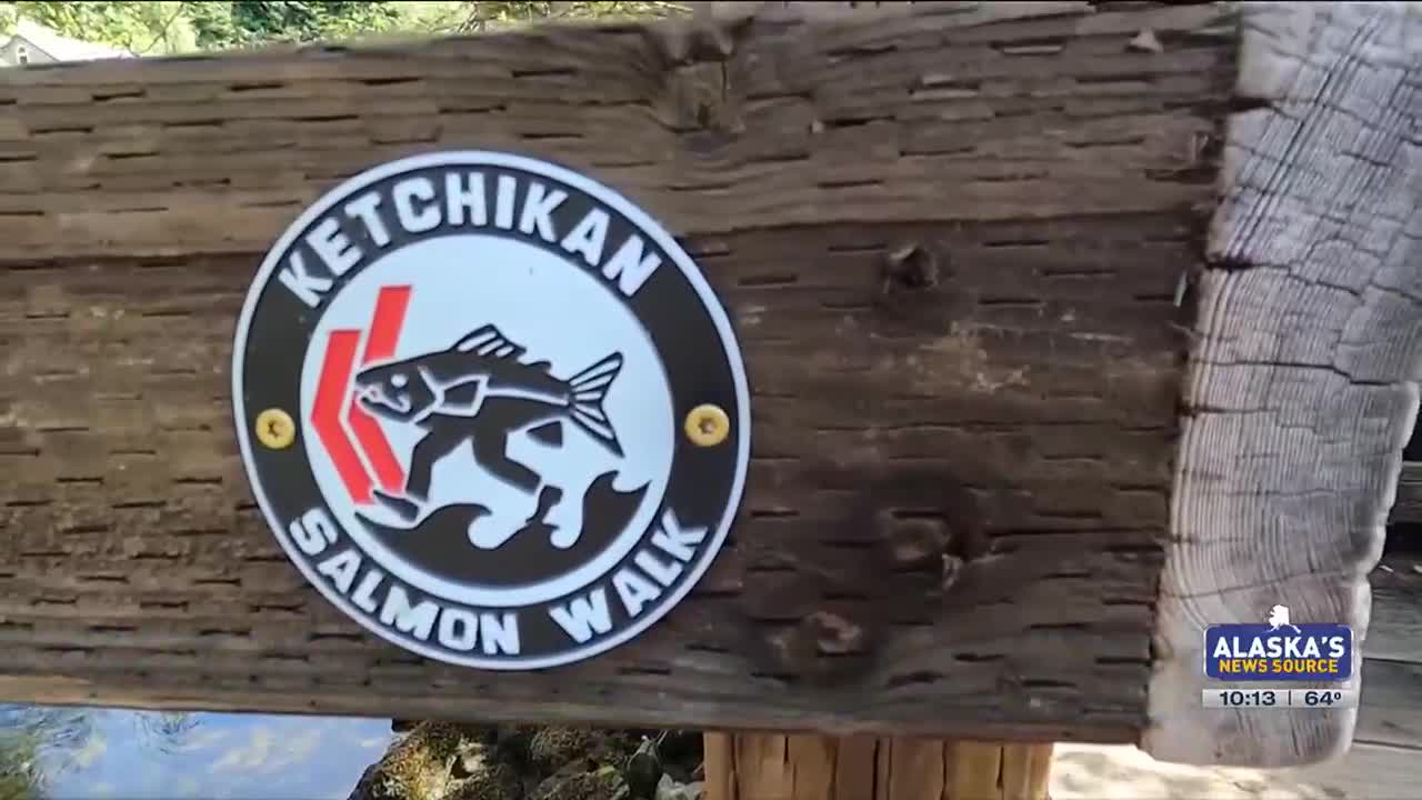 Roadtrippin' 2024: Ketchikan's storied Salmon Walk welcomes residents, visitors alike - Vimarsana News
