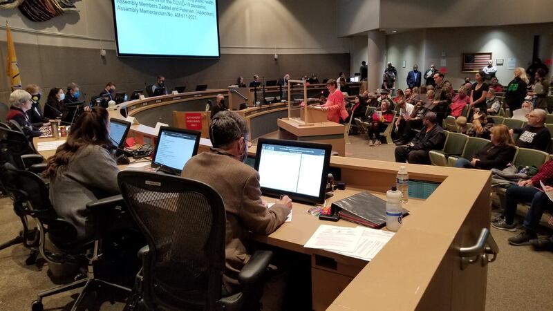 Members of the Anchorage Assembly hear testimony from residents on a proposed ordinance that...
