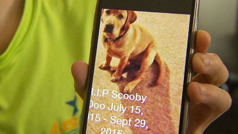 Photo of Scooby Doo held up by 12 year old owner JJ