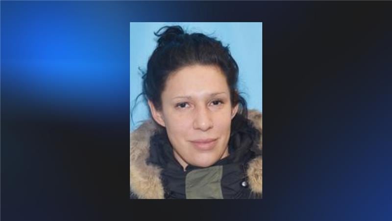 Alaska State Troopers are searching for Sarah Dayan.