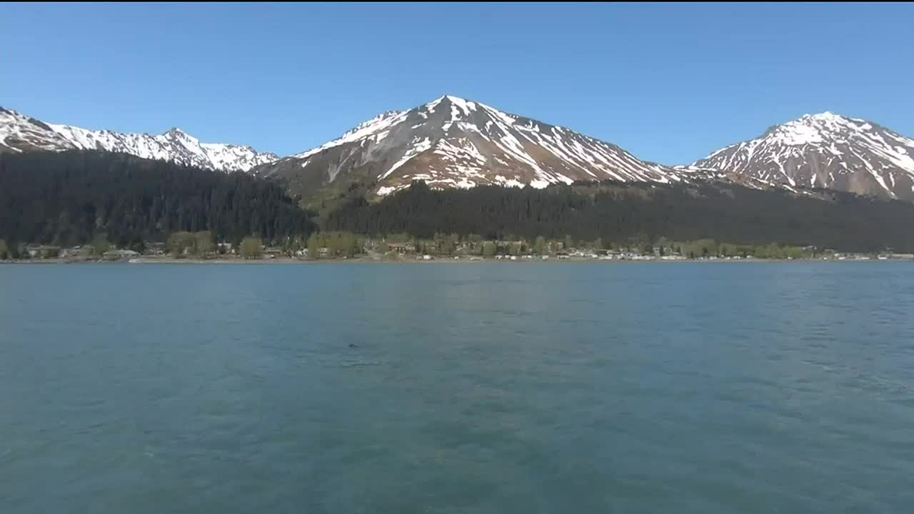 Anchorage woman dies after getting stuck on Seward beach - Vimarsana News
