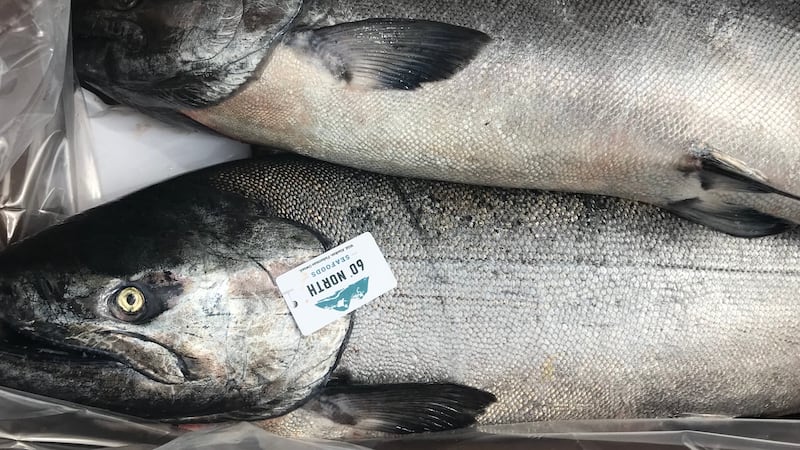 Copper River Salmon