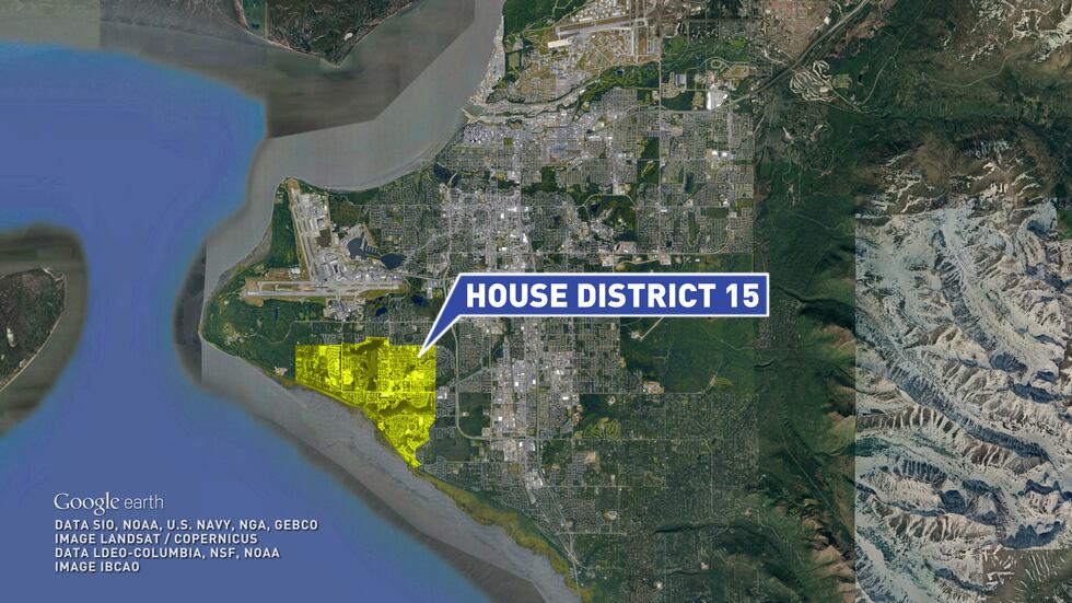 House District 15 race