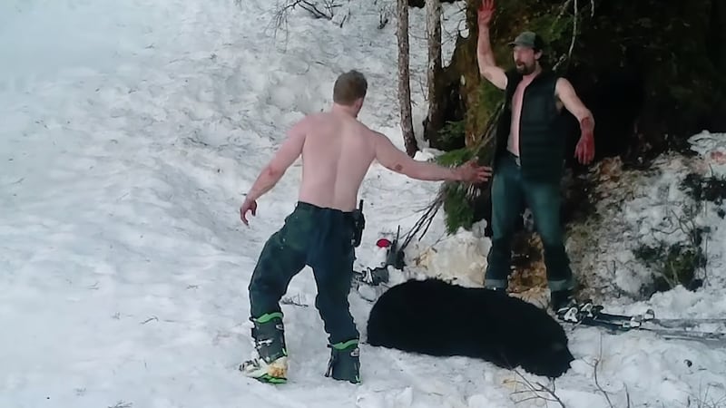 Owen Renner (left) and his father Andrew Renner (right) celebrate over a black bear mother...