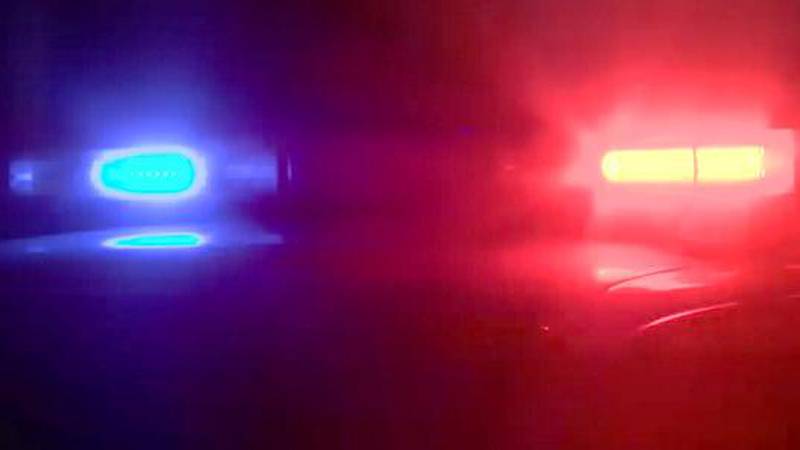 Anchorage Police Lights